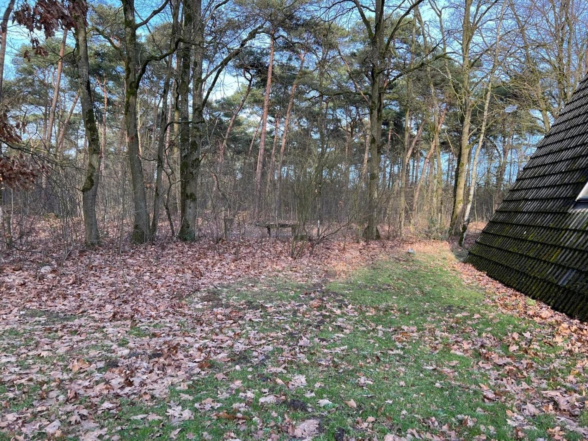 Lovely Holiday Home In Limburg Amid Lush Forest Stramproy 외부 사진
