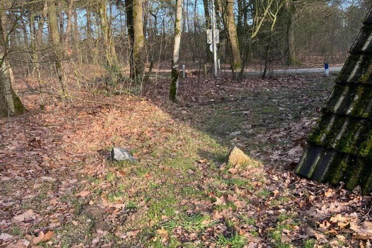 Lovely Holiday Home In Limburg Amid Lush Forest Stramproy 외부 사진